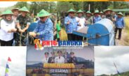 Panen Raya Bersama Yonif TP845/KS, Eks Sawah Jepang di Desa Simpang Tiga Renggiang Belitung Timur
