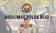 Polda Riau Intensif Ungkap Kasus Perburuan Gajah di Pelalawan, 40 Saksi Telah Diperiksa