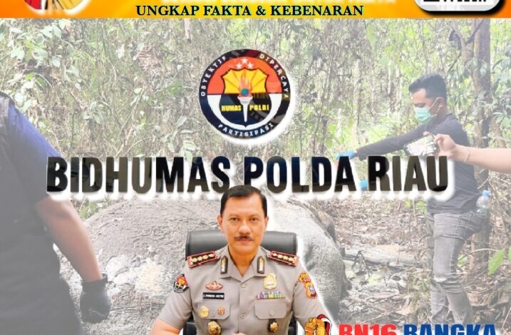 Polda Riau Intensif Ungkap Kasus Perburuan Gajah di Pelalawan, 40 Saksi Telah Diperiksa