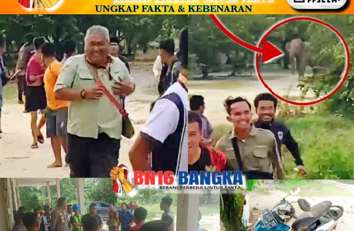 Kawanan Gajah Masuki Perumahan Karyawan di Minas, Kapolres Siak: Prioritaskan Keselamatan Warga dan Mitigasi Konflik Satwa