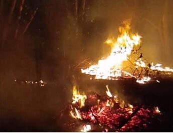 Siaga Satu, Damkar Bangka Barat Berhasil Jinakkan Si Jago Merah di Kawasan Lapangan Golf Muntok