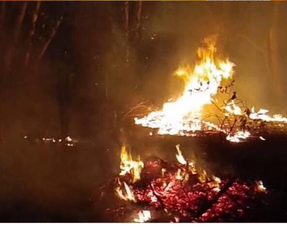 Siaga Satu, Damkar Bangka Barat Berhasil Jinakkan Si Jago Merah di Kawasan Lapangan Golf Muntok