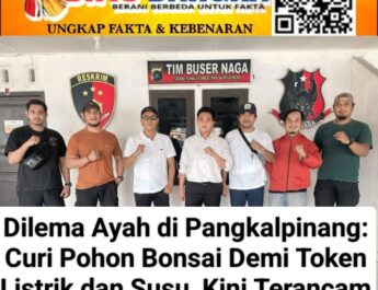 Dilema Ayah di Pangkalpinang: Curi Pohon Bonsai Demi Token Listrik dan Susu, Kini Terancam Penjara