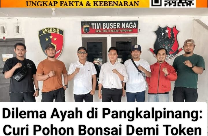 Dilema Ayah di Pangkalpinang: Curi Pohon Bonsai Demi Token Listrik dan Susu, Kini Terancam Penjara