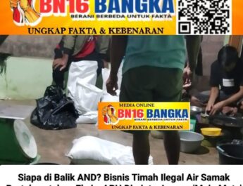 Aktivitas Kolektor Timah Ilegal di Air Samak Disorot, Nama Bos Besar Ikut Terseret