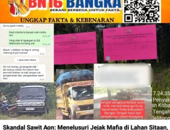 Lahan Sitaan Kejagung Milik Aon Dijarah,Marsad Jadi Pengepul, Oknum Polsek Koba Diduga Pasang Badan?