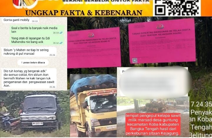 Lahan Sitaan Kejagung Milik Aon Dijarah,Marsad Jadi Pengepul, Oknum Polsek Koba Diduga Pasang Badan?