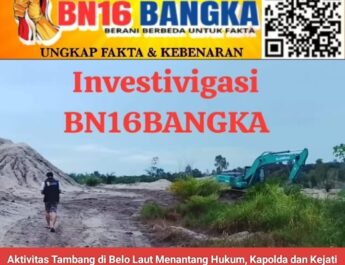 Aktivitas Tambang Ilegal di IUP PT Timah Belo Laut Tetap Eksis, Diduga Ada ‘Sinyal Hijau’ dari Oknum Besar