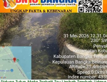DUGAAN LIMBAH TAMBAK UDANG CEMARI ALUR SUNGAI HINGGA LAUT, NELAYAN DUSUN MULIA PAL EMPAT PENYAK RESAH 