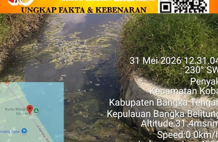 DUGAAN LIMBAH TAMBAK UDANG CEMARI ALUR SUNGAI HINGGA LAUT, NELAYAN DUSUN MULIA PAL EMPAT PENYAK RESAH 