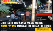 Judi Dadu di Kenanga Makin Marak, Nama ‘Ayong’ Mencuat Tak Tersentuh Hukum