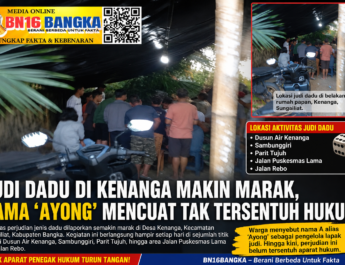 Judi Dadu di Kenanga Makin Marak, Nama ‘Ayong’ Mencuat Tak Tersentuh Hukum