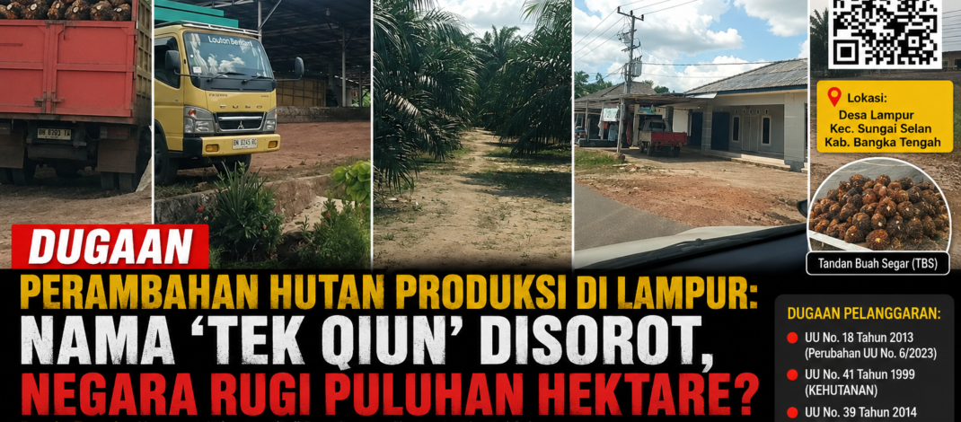 Dugaan Perambahan Hutan Produksi di Lampur: Nama ‘Tek Qiun’ Disorot, Negara Rugi Puluhan Hektare?