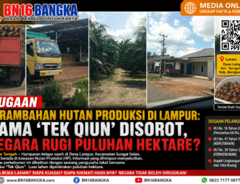 Dugaan Perambahan Hutan Produksi di Lampur: Nama ‘Tek Qiun’ Disorot, Negara Rugi Puluhan Hektare?