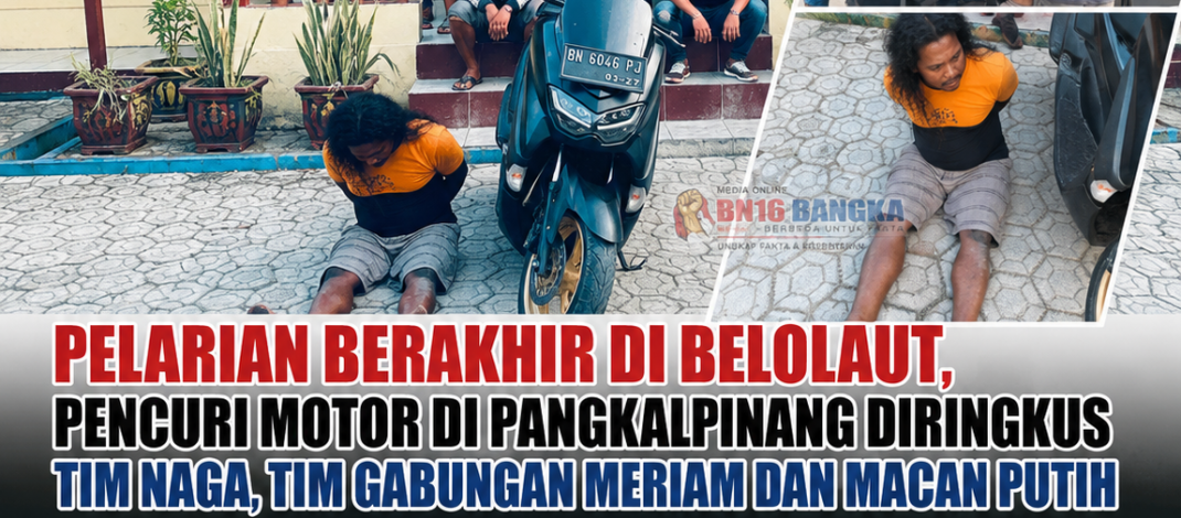 Bawa Kabur Motor Teman Kerja, Pria Asal Lampung Diringkus Tim Naga dan Macan Putih