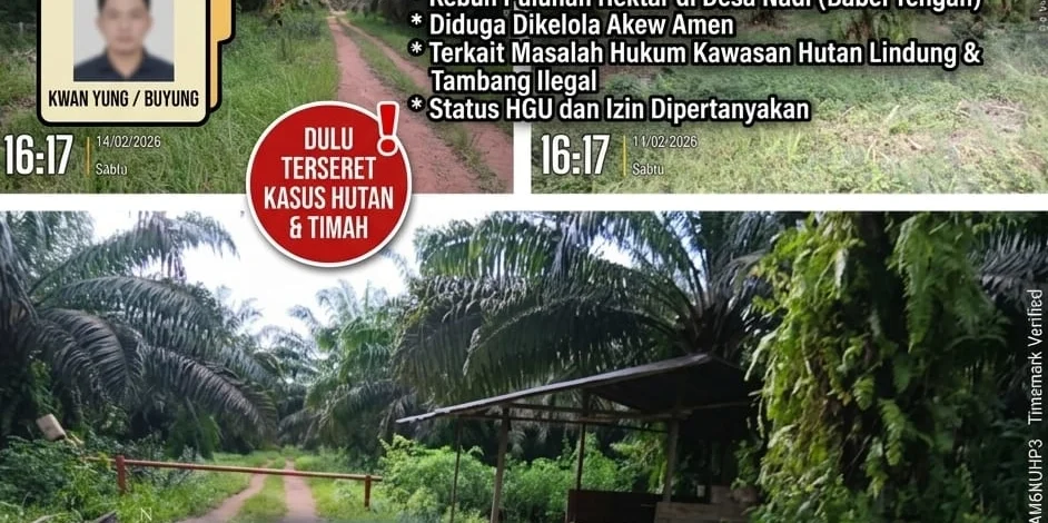 Jejak Lama Kwang Yung alias Buyung Mencuat, Kebun Sawit Puluhan Hektar di Desa Nadi Disorot