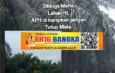 Ratusan Hektare Hutan Lindung Beriga Diduga Dikuasai Bos Sawit Dari Buyung Beralih ke Amen
