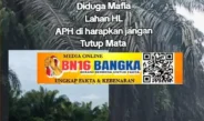 Ratusan Hektare Hutan Lindung Beriga Diduga Dikuasai Bos Sawit Dari Buyung Beralih ke Amen