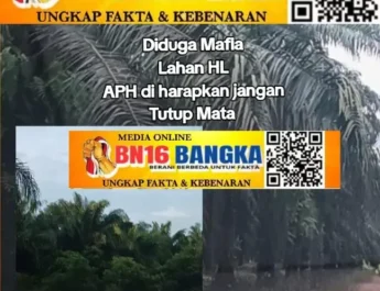 Ratusan Hektare Hutan Lindung Beriga Diduga Dikuasai Bos Sawit Dari Buyung Beralih ke Amen