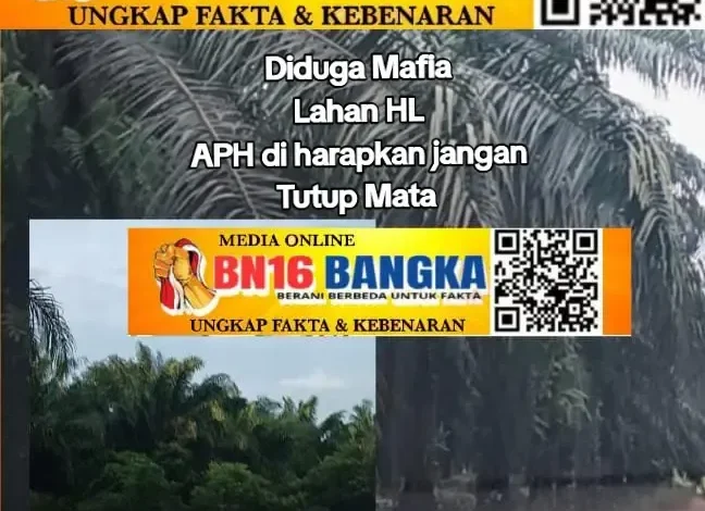Ratusan Hektare Hutan Lindung Beriga Diduga Dikuasai Bos Sawit Dari Buyung Beralih ke Amen