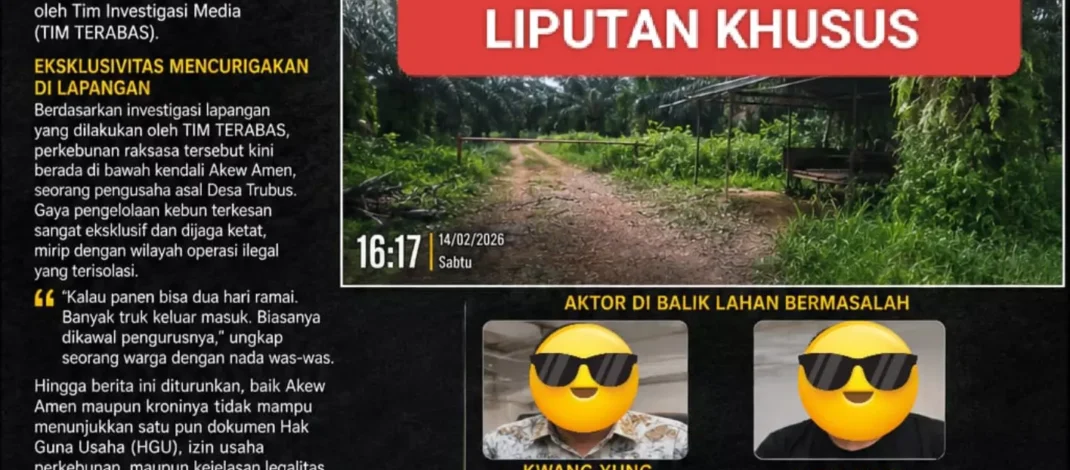 Kebun Sawit Ilegal Akew Amen Terseret Jejak Hitam Buyung, Kejati Babel Ditantang Bertindak!  Kebun Sawit Ilegal Akew Amen Terseret Jejak Hitam Buyung, Kejati Babel Ditantang Bertindak!