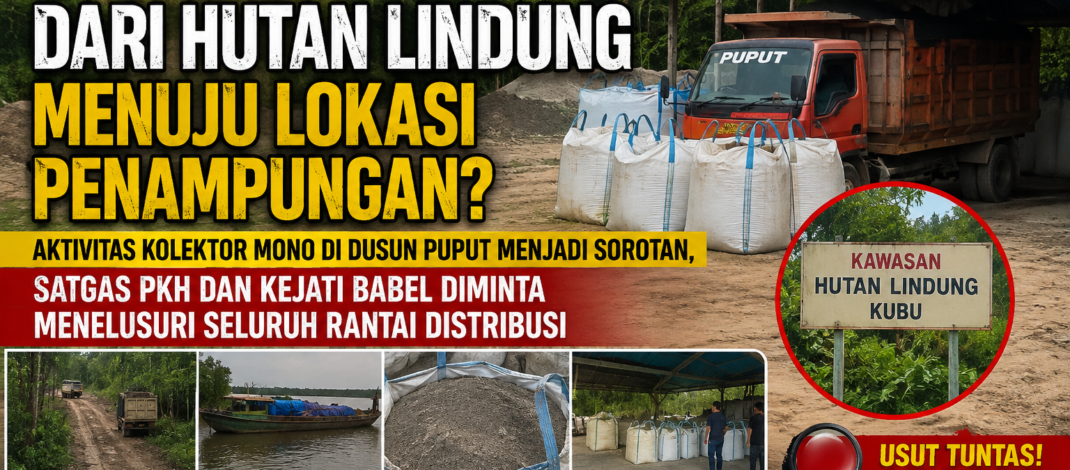 Kolektor Mono Diduga Tampung Timah Ilegal dari Hutan Lindung, Warga Minta APH Tindak Tegas Hulu hingga Hilir