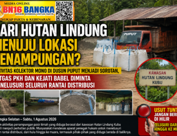 Kolektor Mono Diduga Tampung Timah Ilegal dari Hutan Lindung, Warga Minta APH Tindak Tegas Hulu hingga Hilir