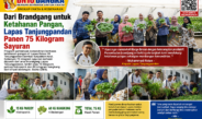 Dari Brandgang untuk Ketahanan Pangan, Lapas Tanjungpandan Panen 75 Kilogram Sayuran