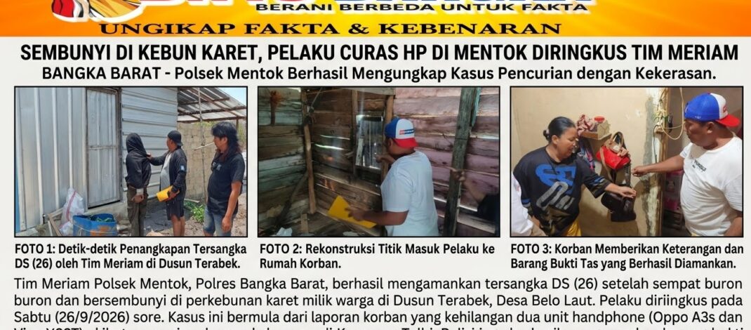 Sembunyi di Kebun Karet, Pelaku Curas HP di Mentok Diringkus Tim Meriam