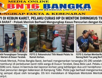 Sembunyi di Kebun Karet, Pelaku Curas HP di Mentok Diringkus Tim Meriam