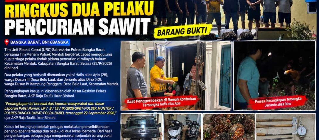 Pencurian Sawit di Mentok Terkuak, Tim Gabungan Polres Bangka Barat dan Polsek Mentok Ringkus Dua Pelaku