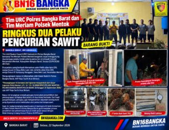 Pencurian Sawit di Mentok Terkuak, Tim Gabungan Polres Bangka Barat dan Polsek Mentok Ringkus Dua Pelaku