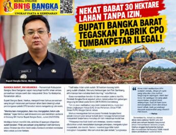 Nekat Babat 30 Hektare Lahan Tanpa Izin, Bupati Bangka Barat Tegaskan Pabrik CPO Tumbakpetar Ilegal!