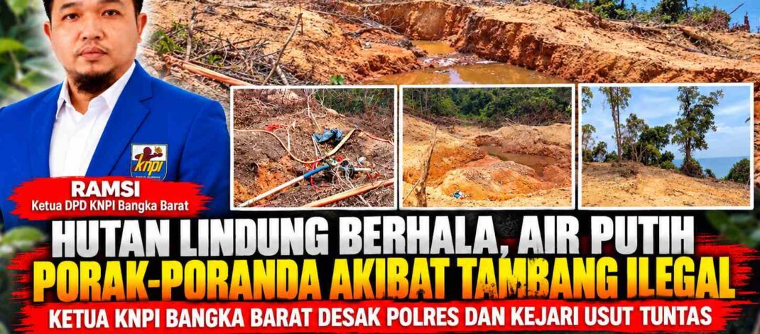 Hutan Lindung Berhala,air putih Porak-Poranda Akibat Tambang Ilegal, Ketua KNPI Bangka Barat Desak Polres dan Kejari Usut Tuntas