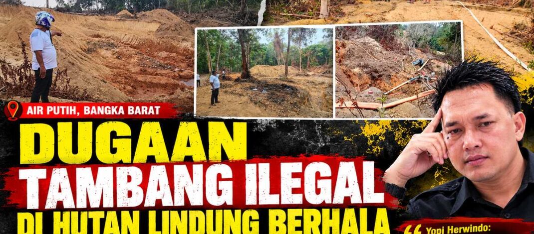Sebut Ada ‘Oknum Main’ dan Info Bocor, DPC PJS Bangka Barat Siap Kawal Dugaan Tambang Ilegal di Hutan Lindung Berhala Desa air putih