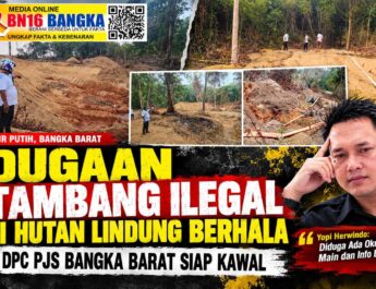 Sebut Ada ‘Oknum Main’ dan Info Bocor, DPC PJS Bangka Barat Siap Kawal Dugaan Tambang Ilegal di Hutan Lindung Berhala Desa air putih