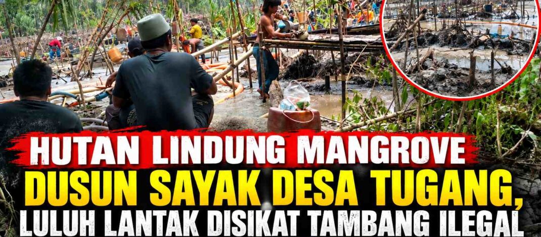 Hutan Lindung Mangrove Dusun Sayak Desa tugang,Luluh Lantak Disikat Tambang Ilegal “User-User”, Polisi Pastikan Tindak Tegas