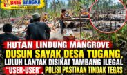 Hutan Lindung Mangrove Dusun Sayak Desa tugang,Luluh Lantak Disikat Tambang Ilegal “User-User”, Polisi Pastikan Tindak Tegas