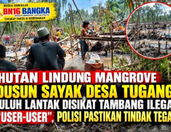 Hutan Lindung Mangrove Dusun Sayak Desa tugang,Luluh Lantak Disikat Tambang Ilegal “User-User”, Polisi Pastikan Tindak Tegas